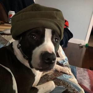 Meet your Posher, Matt